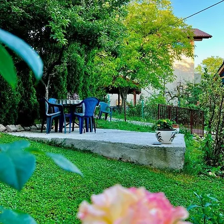 Amila Homestay *