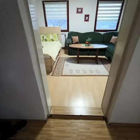 Проживание в семье Amila *